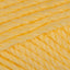 Daffodil Yellow (1121)