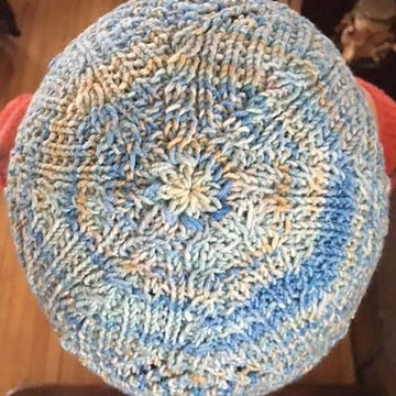 Lacecap Bloom