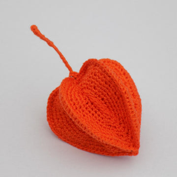 Physalis Plant (Chinese Lantern)
