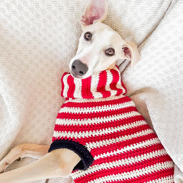 Doggo no 14 sweater