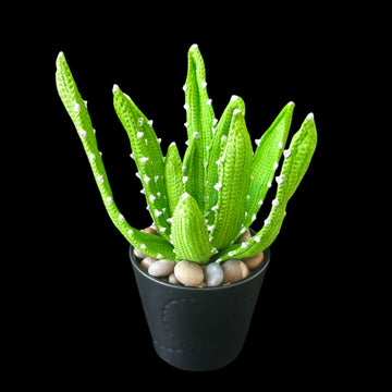 Crochet Aloe Vera plant