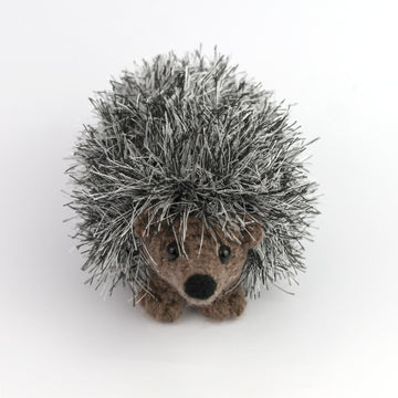 Curious hedgehog