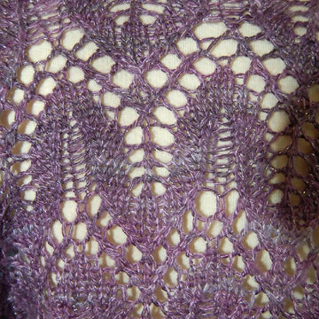 Lace Draped Shrug