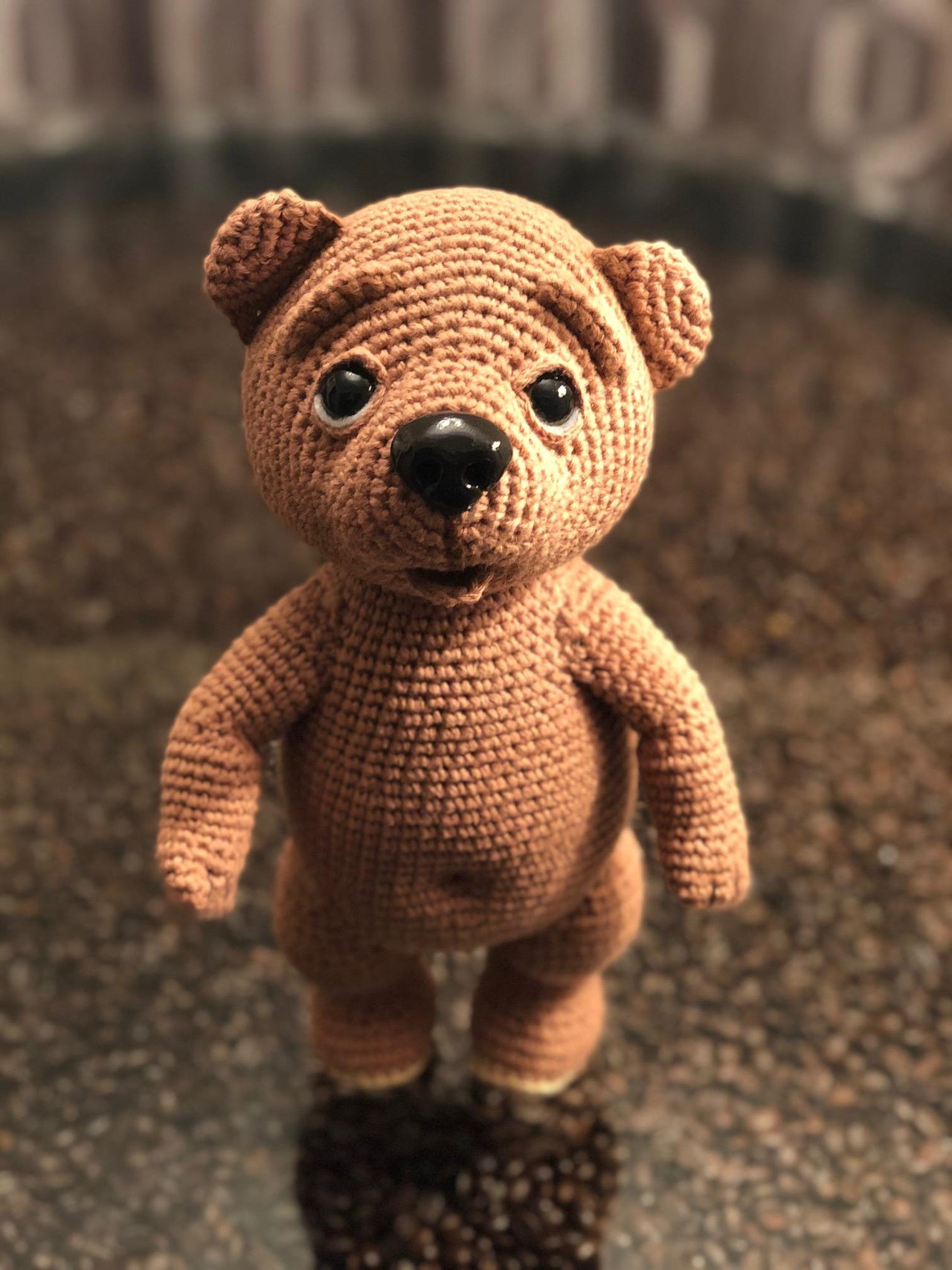 Bear