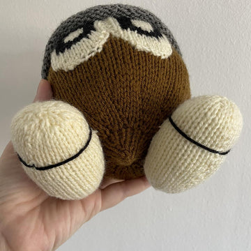 Seedot Pokemon toy