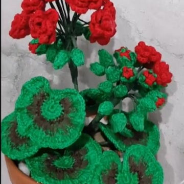 Crochet Geranium Flowers