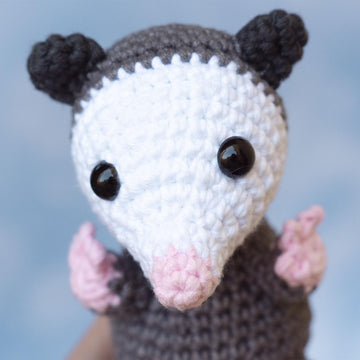 Opossum