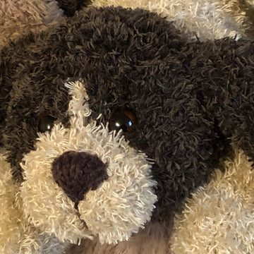 Sleepy Puppy
