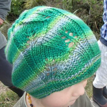 Ngahere Beanie (10ply)