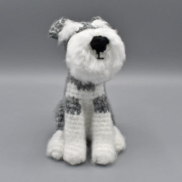 Schnoodge the Schnauzer dog