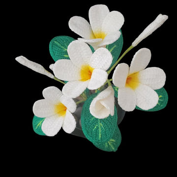 Crochet Plumeria flowers pattern