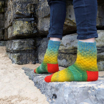 Jurassic Socks