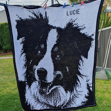 Overlay Mosaic "BORDER COLLIE 2"
