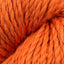 Pumpkin (622)