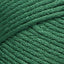 Fern (Fern)