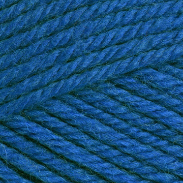 Blueberry (3342)