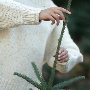 Grand Fir