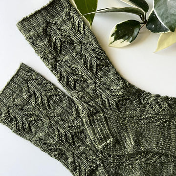 Hoya Socks