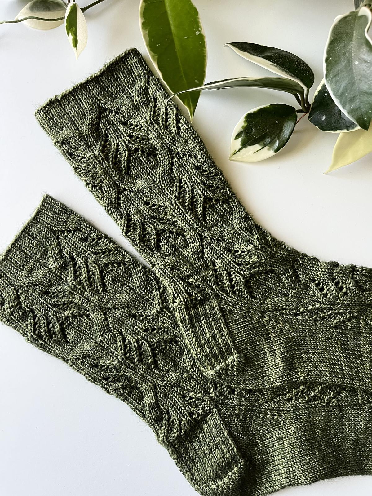 Hoya Socks