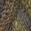 Sunflower (6895)