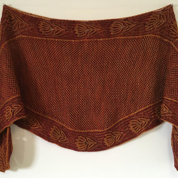 Dreaming of Spring Shawl