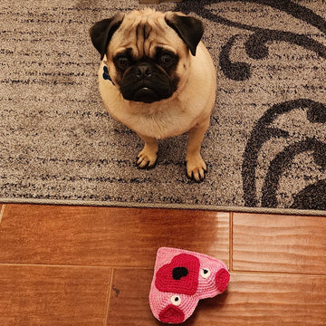 Puppy Love Dog Toy