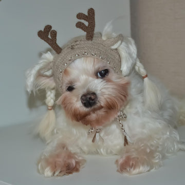 Reindeer dog hood, Crochet Pattern PDF, Size: XS for small dog. Language - English