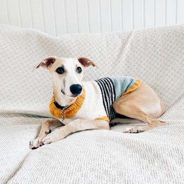 Doggo no 2 sweater