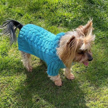 Aqua Dog or Cat Sweater