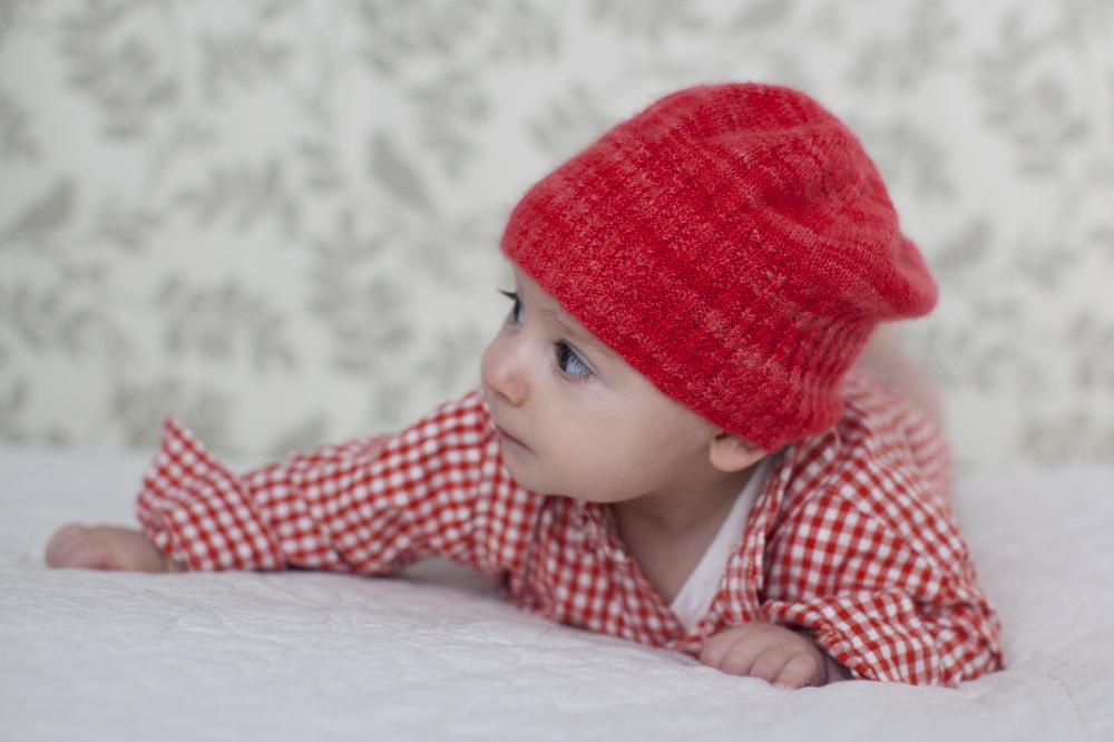 Wren's Twisted Rib Hat