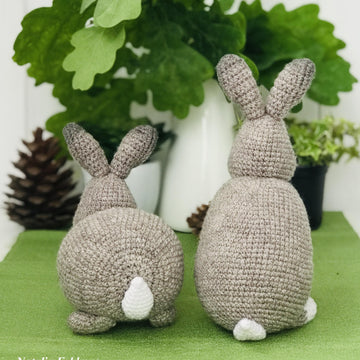 Two rabbits