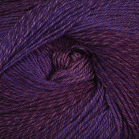 Violet Harmony (34)