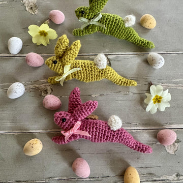 Leaping Spring Hare