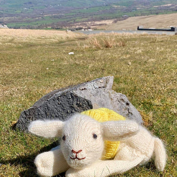 Lamb