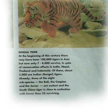 BENGAL TIGER toy knitting pattern by Georgina Manvell