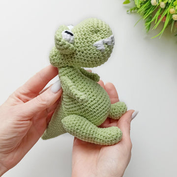 Dinosaur Baby T_Rex