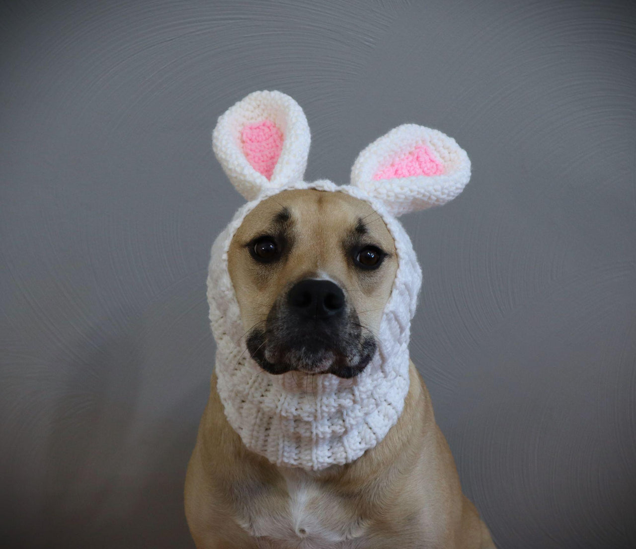 Bunny Dog Snood