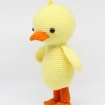 Quigley the Duck