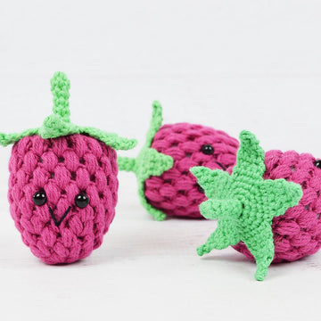 Raspberry Fruit