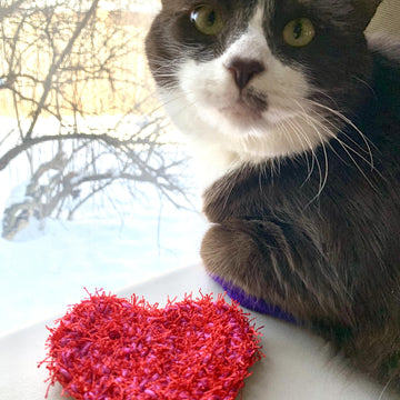 Heart Scrubby