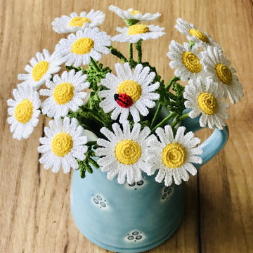 Chamomile flower and ladybug