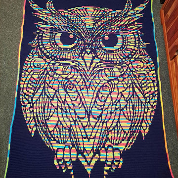 Twit Twoo Owl