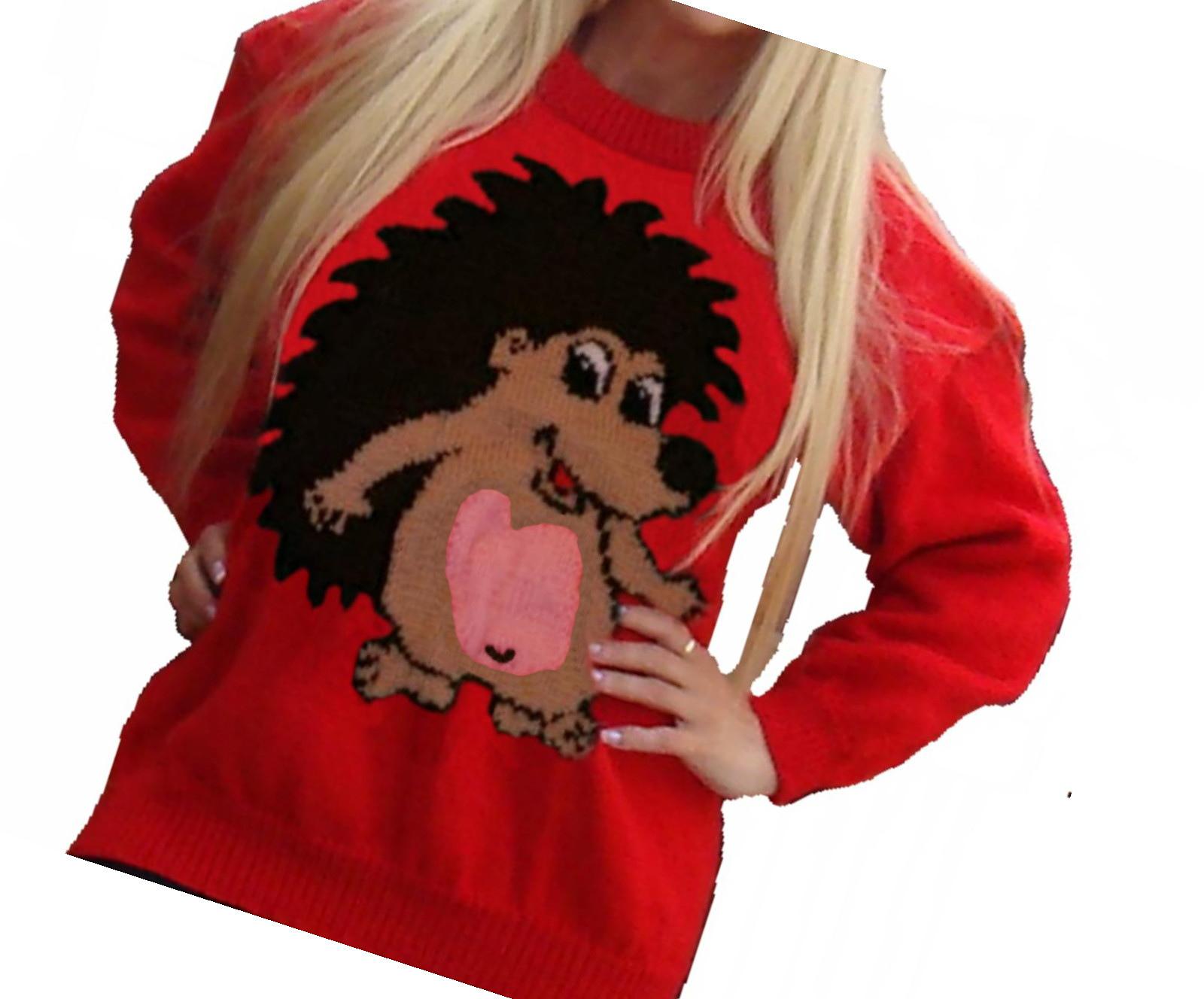 Cartoon Hedgehog Jumper