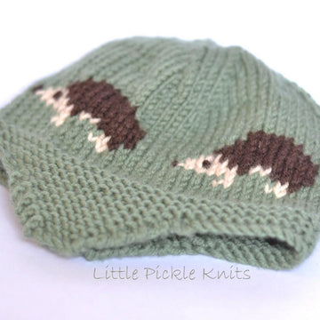 Little Hedgehog Aviator
