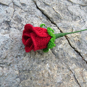 Rose bud