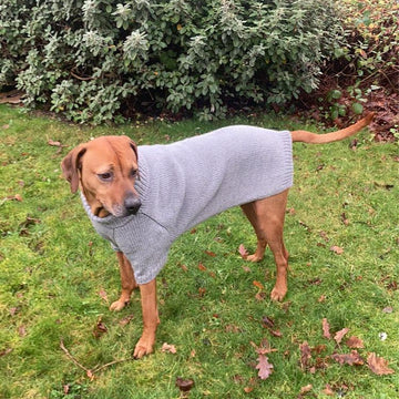 Big Comfy Dog Sweater