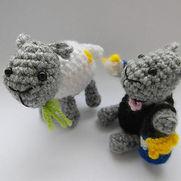 Yarn dying sheep?