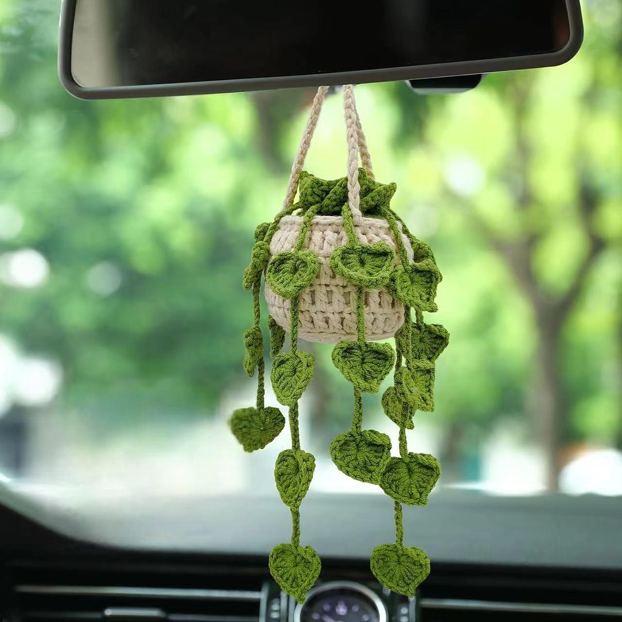 Car Hanging Pothos Plant