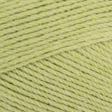 Key Lime Pie (337)
