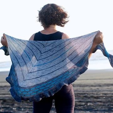 Iron Sands